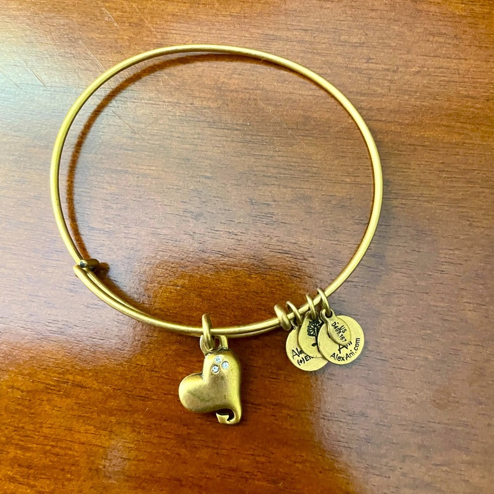 Alex and Ani bracelet